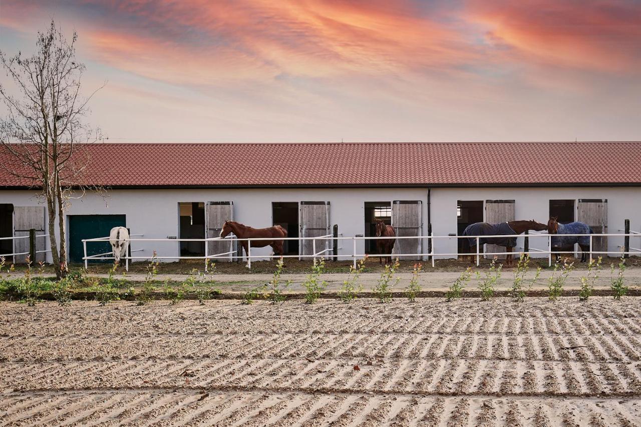 Vila Brussa Horse Oasi Caorle Exteriér fotografie