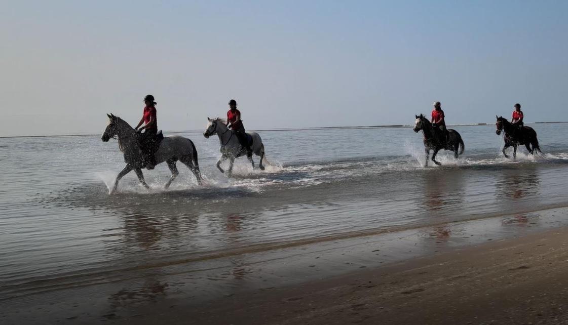 Vila Brussa Horse Oasi Caorle Exteriér fotografie
